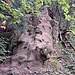 Die Schlüsselstelle: eine Sandsteinstufe, die mit zwei Seilen entschärft ist.