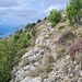 Eher karge Vegetation unter dem Gipfel 
