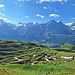 Herrliche Sicht zu den hohen Bernerberge (Schreckhorn, Finsteraarhorn, Fischerhörner, Eiger, Mönch, Jungftau)