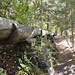 Bisse du Manera