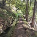 Bisse du Manera