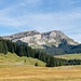 kurz nach dem Start auf der Lombachalp: Hinüberblick zum Hohgant