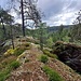 Ein gut 25, 30 Meter hohes Felsenriff.