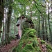 Der Schweinspießfels.