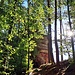 Ich folgte der Beschilderung zum Rauschlochfelsen.