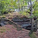 Ich drehte dann auf dem Hauptweg weiter nach Norden, wo es oberhalb der Wartbachstraße zum nächsten Felsen hinaufgeht. 