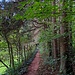 Dann nahm ich den unteren Weg Richtung Hinterweidenthal. 