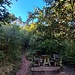 Ich startete - wie schon zu so vielen Touren - am Felsdurchbruch in Hauenstein. Stracks ging's auf dem Schusterpfad hinauf.