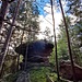 Wer's weiß, entdeckt knapp 700 Meter weiter die eindrucksvollen Felsen der Erfweiler Klamm. Droben stehen zwei der für diese Gegend so typischen Pilzfelsen. Nummer eins...