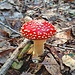 Herr Ober! Noch'n Pilz!
