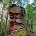Der Schweinspießfels.