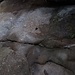 Risse - frische und verheilte