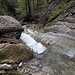 der Murbach - links hinter dem Holzstamm ein riesiger Brocken Nagelfluh, der erste, den ich am Unterlauf finde, weiter abwärts bis zur Mündung folgen weitere