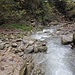 der glänzende Stein in der Mitte: härterer Sandstein, der dann bei den Teufelsmauern weiter östlich, jenseits der Urnäsch, herausgearbeitet wurde. Man sieht ihn weiter hinten wieder aus dem Wasser aufsteigen, links davon eine dunkle Mergelschicht