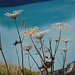 feiner Ausblick ...