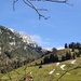 sonniger Ausblick ins Tal des Gurbsbaches und zum Tierlaufhore
