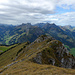 Blick zu den Freiburger Alpen