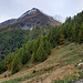 En direction du Vernec.