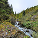 Torrent du Merdechon.