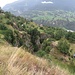 Furche der Massa