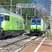 Die grün-blaue Begegnung