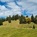 Tüfentalerberg Südgipfel
