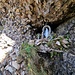Kleine Mariastatue beim Klettersteig