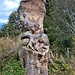 Gekonnt - Auerhahngebiet