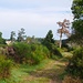bei Douilloux *