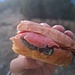 Panino con salmone, lattuga, pomodori, olio d'oliva