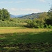 Nei pressi della palude di Corgeno.