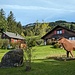Ferienhäuser in Bachers, meinem Ausgangsort