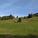 auf dem Weg zum Fähnerenspitz