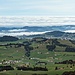 im Unterland in Richtung St. Gallen / Thurgau hat es Nebel