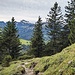 Abstieg durch den Wald zum Resspass