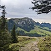 Abstieg durch den Wald zum Resspass
