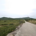 Blick zurück