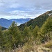 ein Hauch von gutem Wetter