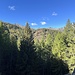 Herbstwälder