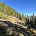 Alpe Pertignaga