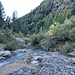 kleine Schwimmstelle direkt unter der Alpe