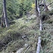 gefährlich sind die offenen Flächen - da sich dort der Weg leicht auch mal verliert