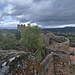 Burg Polignac