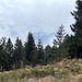 auch unter den oberen Wolken gab es nicht viel zu sehen