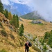 Im Aufstieg von der Alpe Albezzona zu Punkt 2116. Von dort wird das Gelände stark exponiert und auf dem Weg zum Rifugio Ribia ist dieser Weg auf grossen Teilen nicht mehr erkennbar.