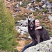 Artus & Tamsin