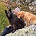 Artus, Tamsin und Sophie.