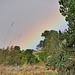 leider setzen Regenbögen Regen voraus *