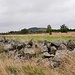 Hochflächen westlich von le Puy *