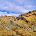 Ambiente auf der Alp Ribia.